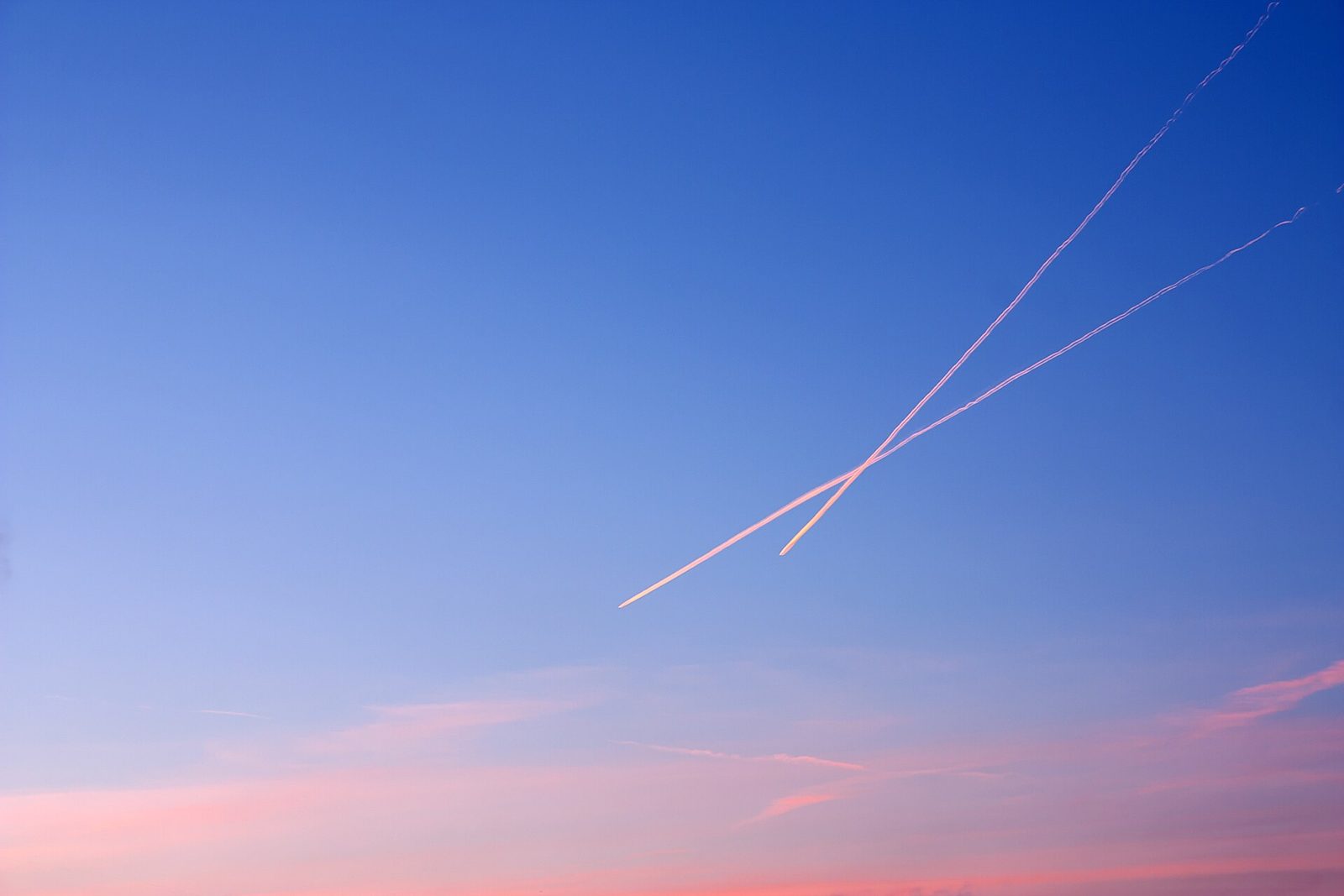 GoWild Taxes and Fees: Why Your One Cent Flight Costs $15